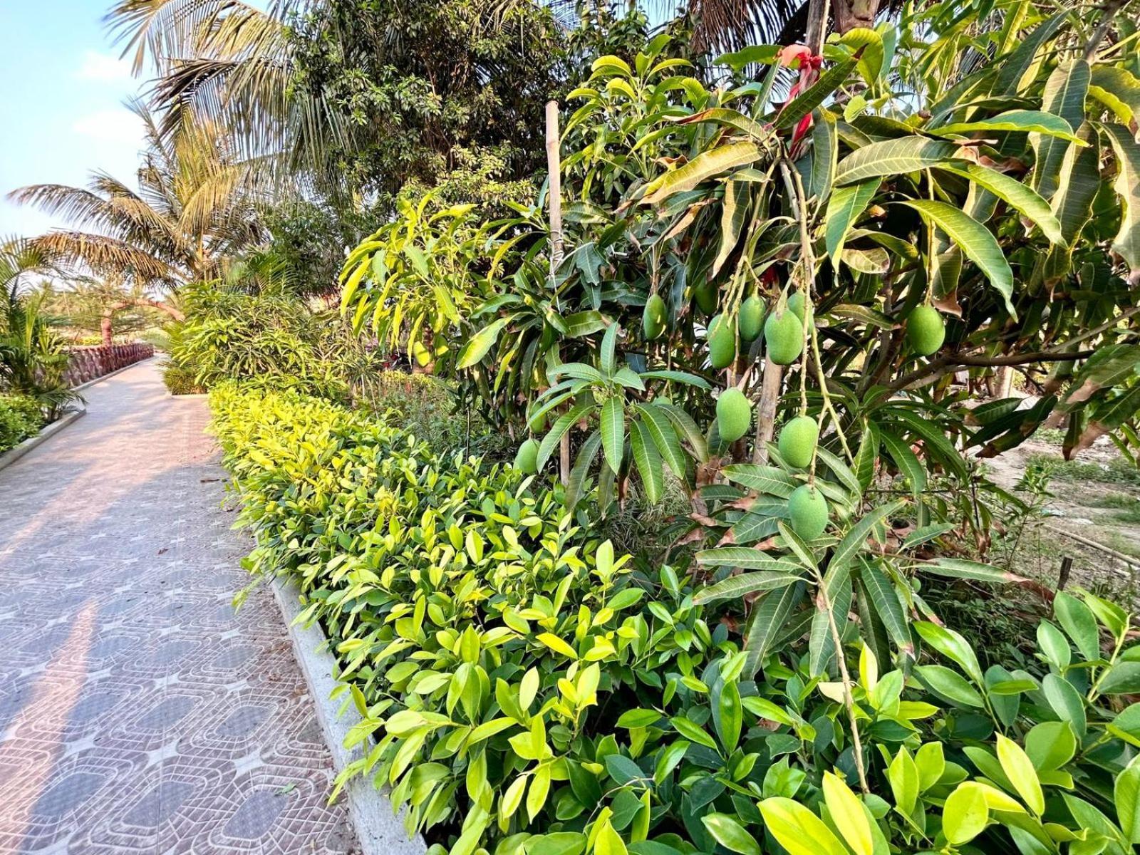 Palli Bangla Resort, Near Ruby Hospital, Anandapur Kolkata Luaran gambar
